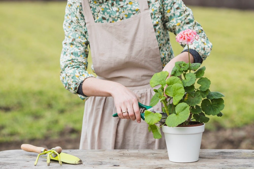 Inspiración para jardines
