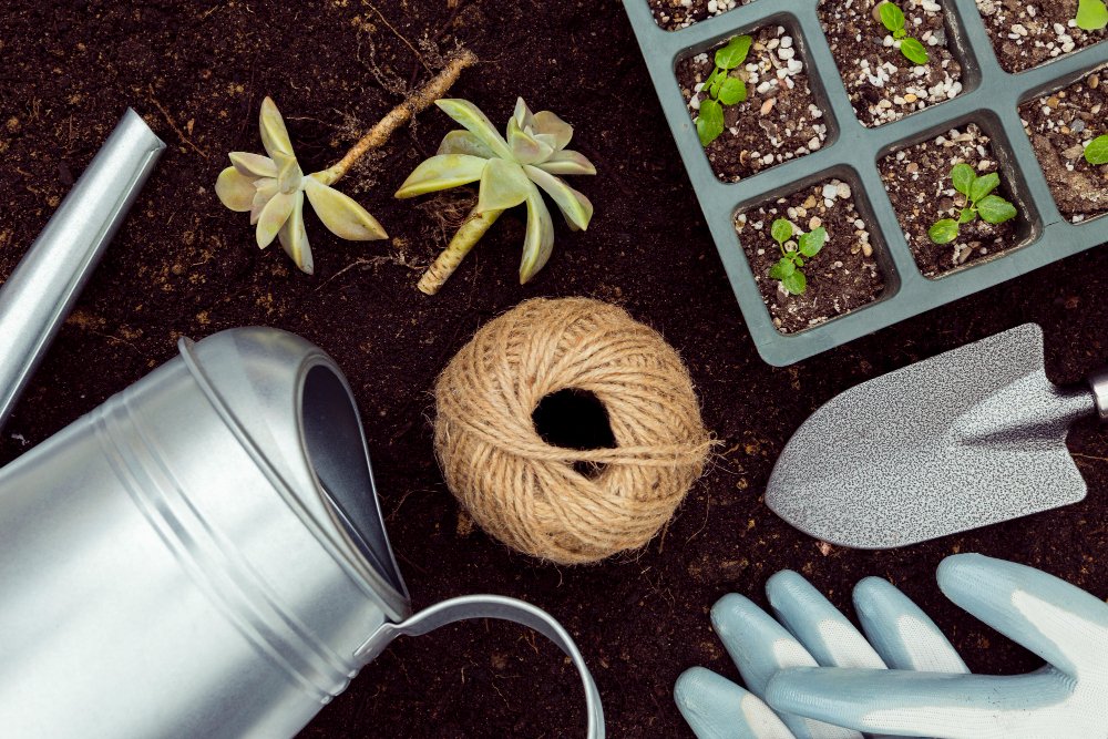 bulbos para plantar en junio